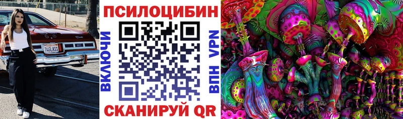 купить наркоту  Куровское  Галлюциногенные грибы Cubensis 
